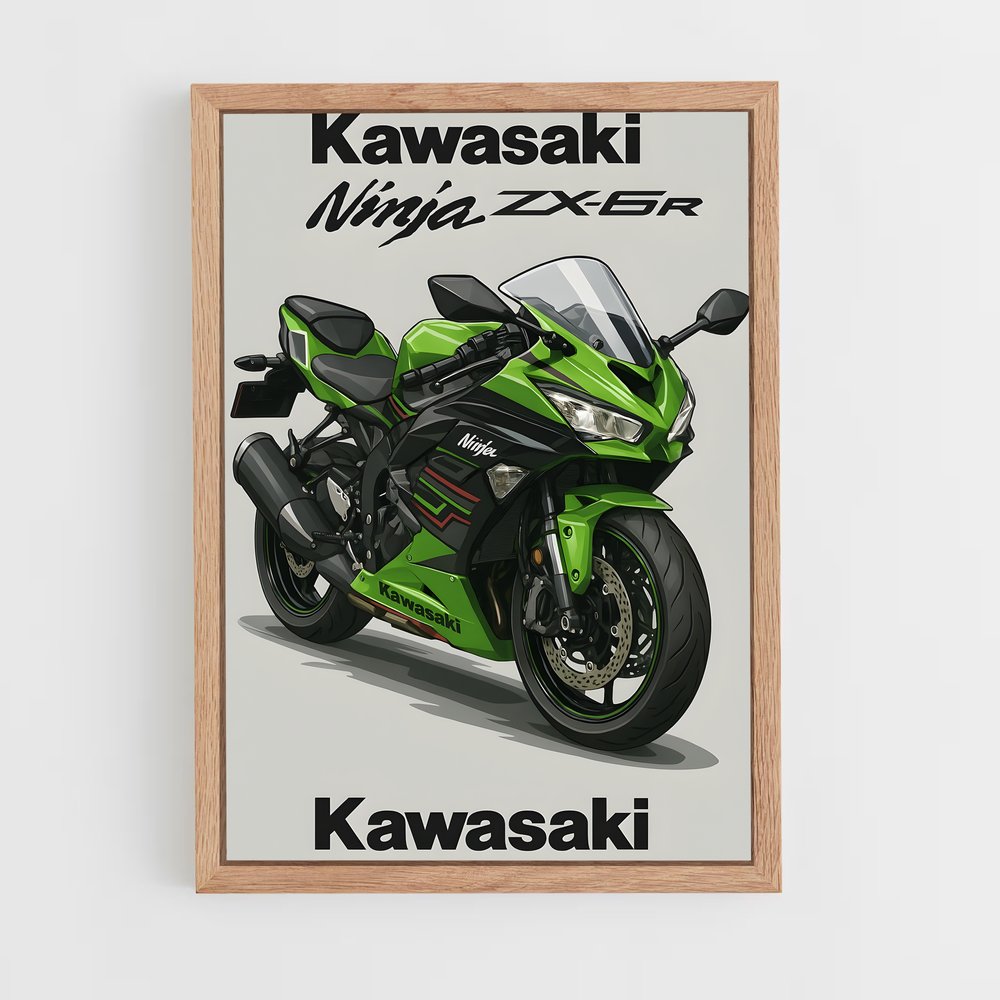 Poster Ninja zx-6r Énigmatique (vue 4)